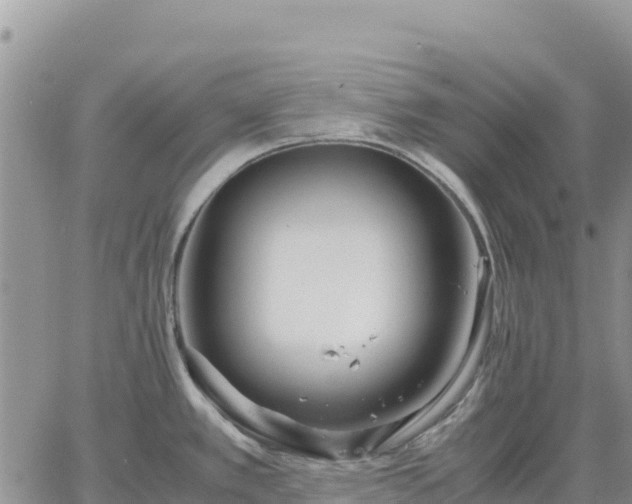 X0000064771389200602171813