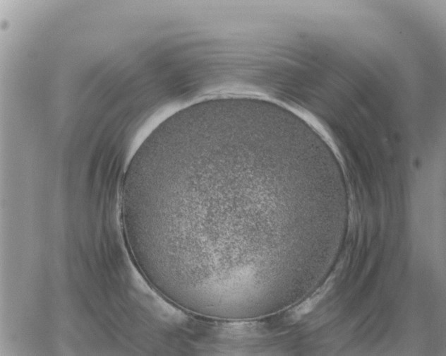 X0000064771390200602171813