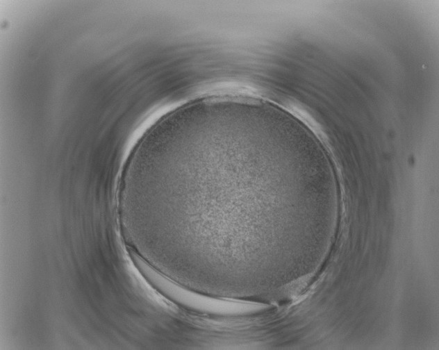 X0000064771392200602171813