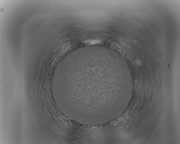 X0000064771393200602171812