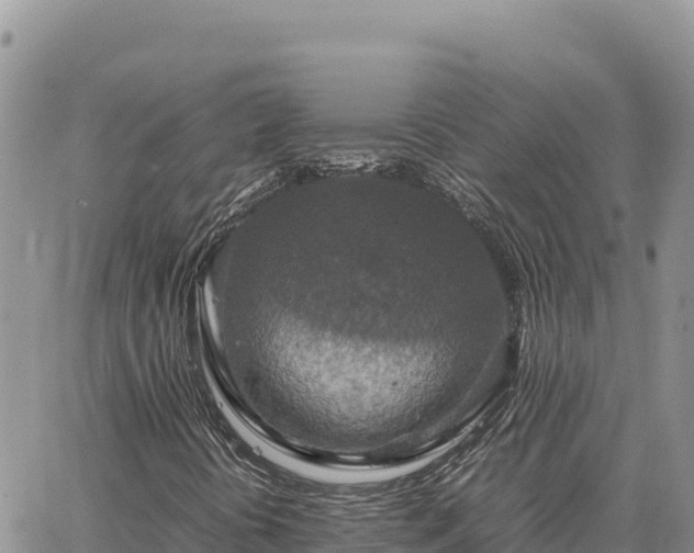 X0000064771394200602171812