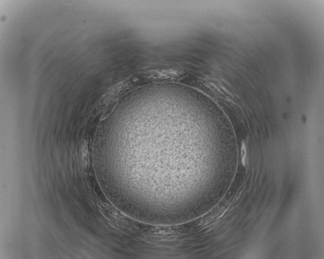 X0000064771395200602171812