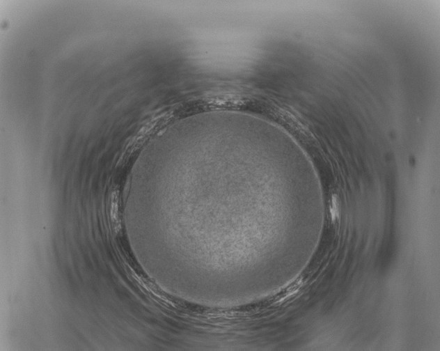 X0000064771396200602171812