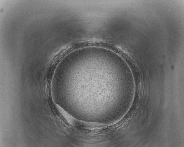 X0000064771398200602171812