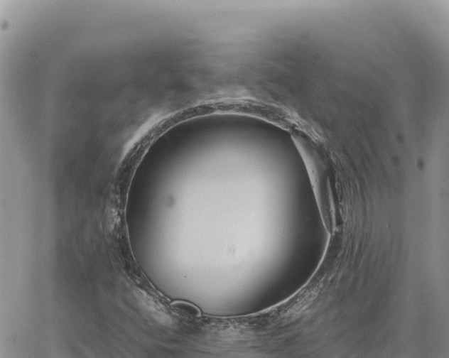 X0000064771400200602171813