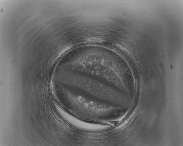 X0000064771401200602171813