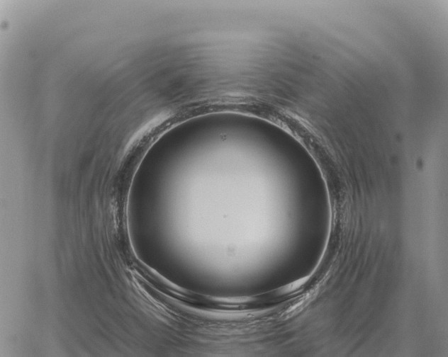 X0000064771402200602171813