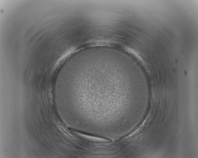 X0000064771403200602171813