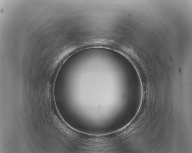 X0000064771404200602171813