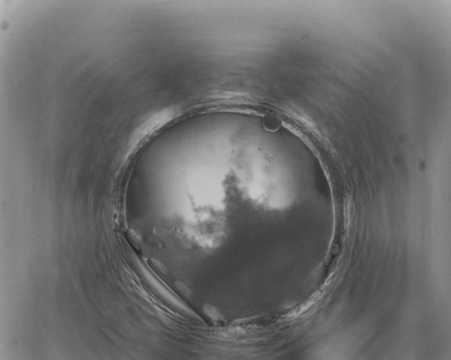 X0000064771405200602171813