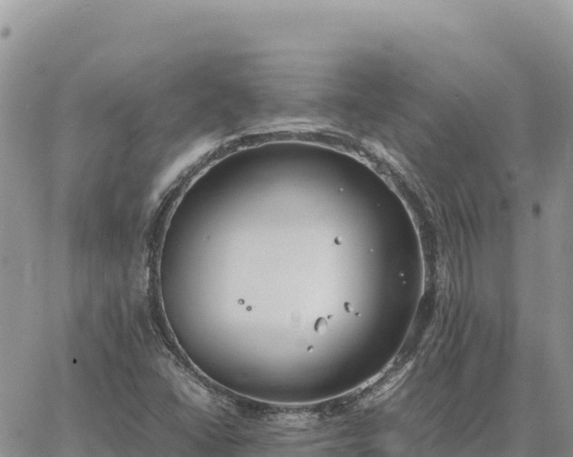 X0000064771406200602171813