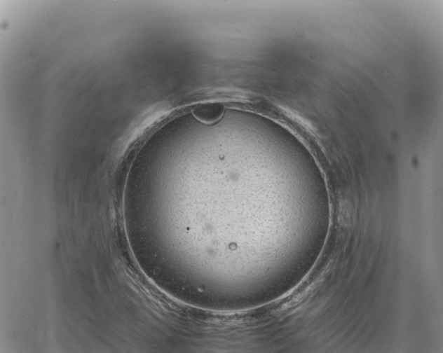 X0000064771407200602171813