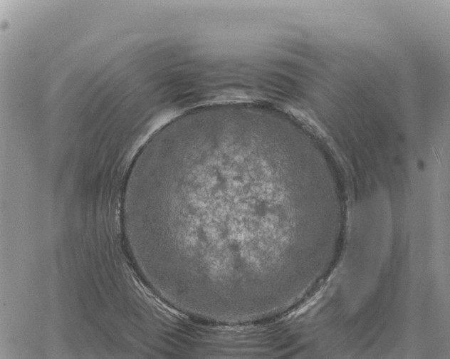 X0000064771409200602171813