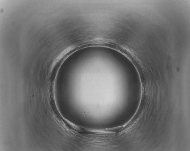 X0000064771410200602171813