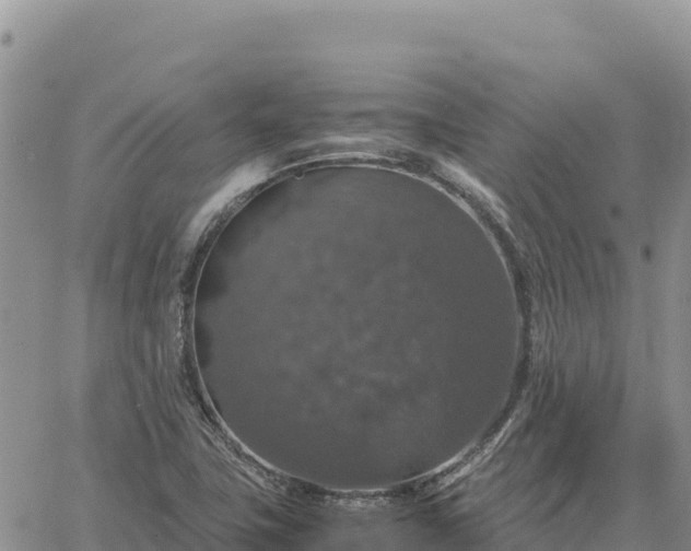 X0000064771411200602171813