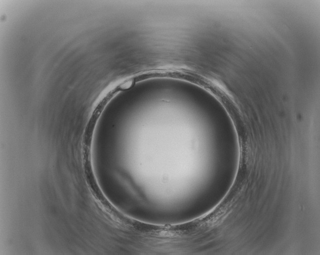 X0000064771412200602171813