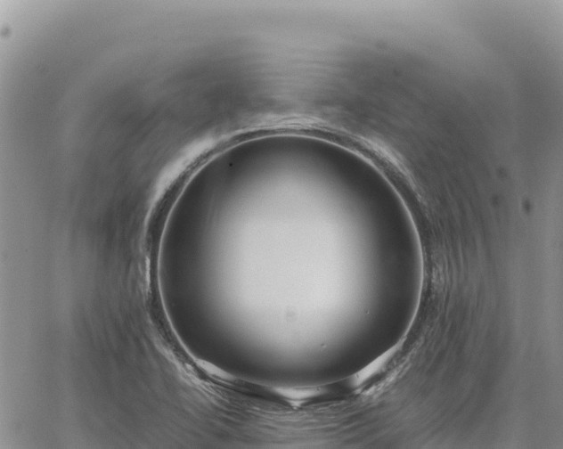 X0000064771414200602171813