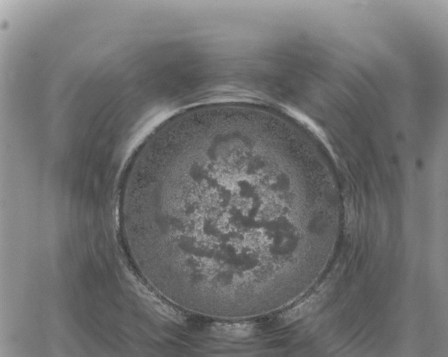 X0000064771415200602171813