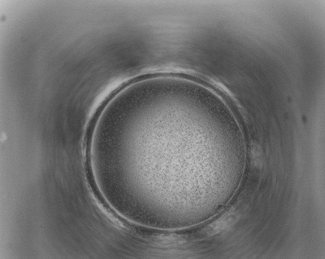 X0000064771416200602171813