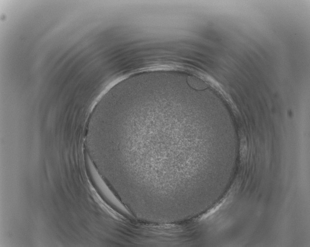 X0000064771417200602171813