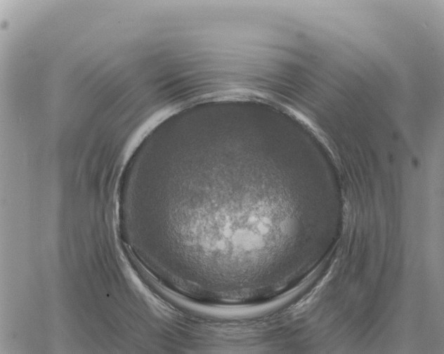 X0000064771418200602171813