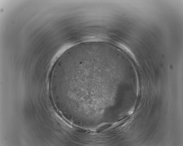 X0000064771419200602171813