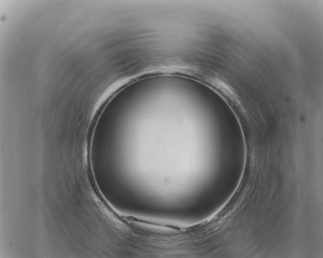 X0000064771420200602171813