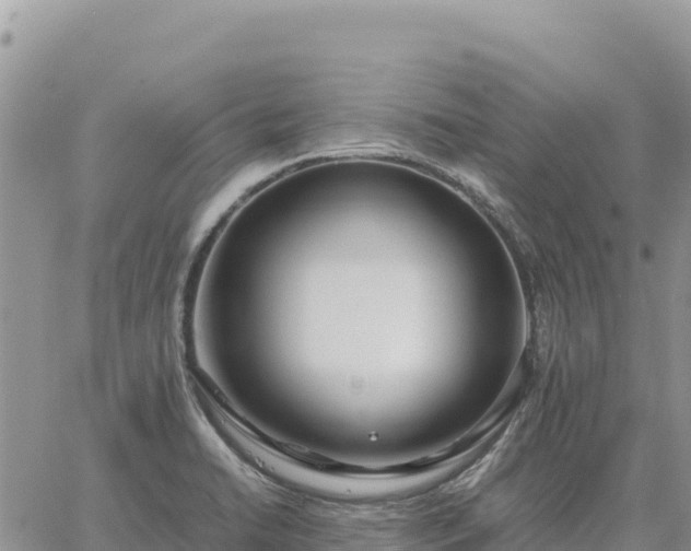 X0000064771422200602171813