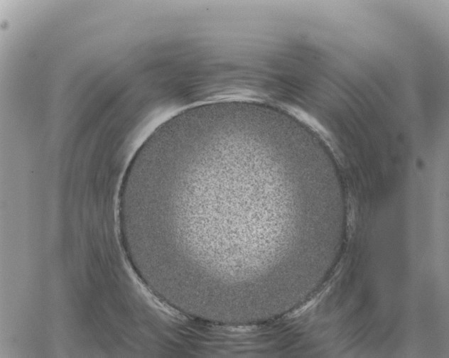 X0000064771423200602171813