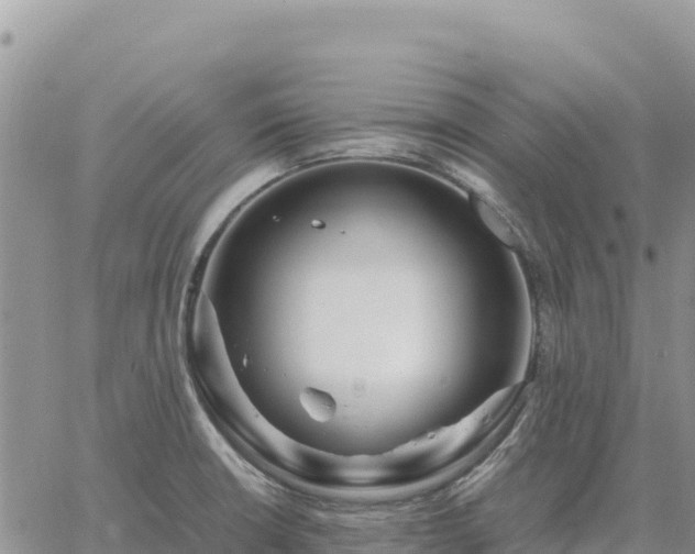 X0000064771426200602171813