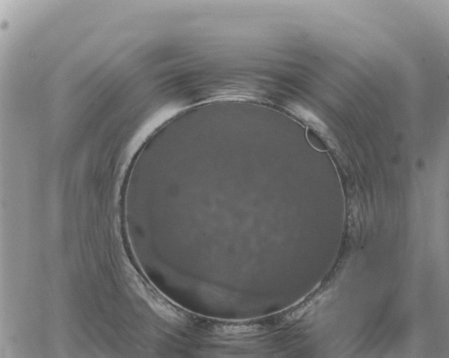 X0000064771427200602171813