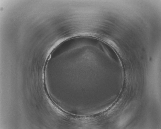 X0000064771428200602171813