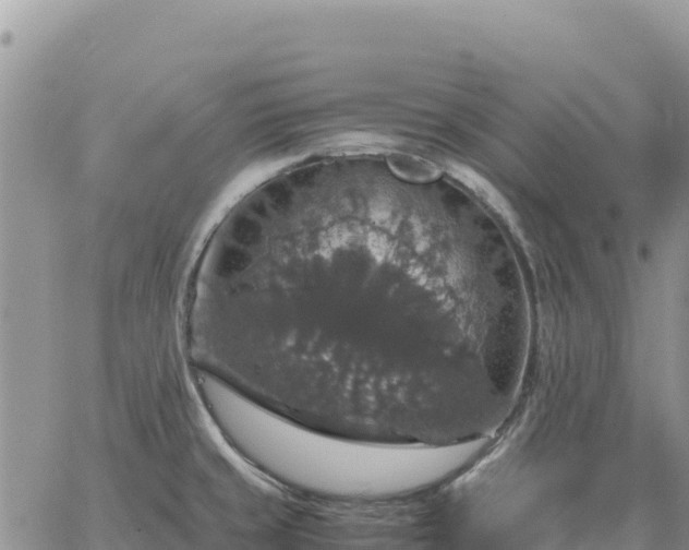 X0000064771429200602171813