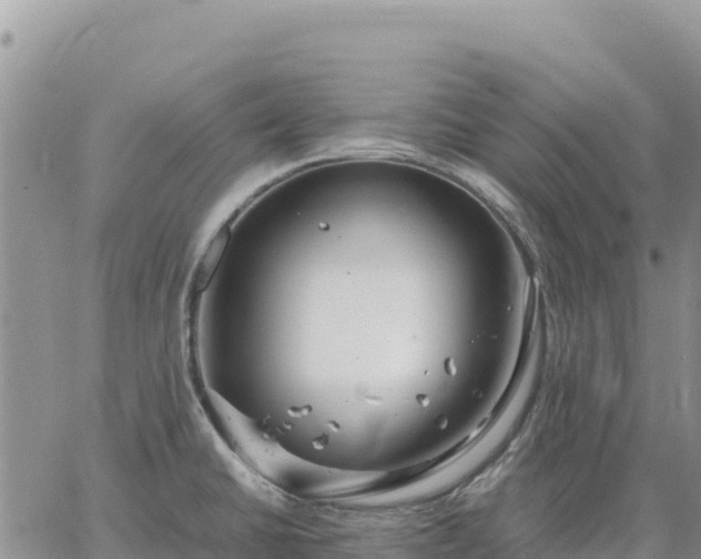 X0000064771430200602171813