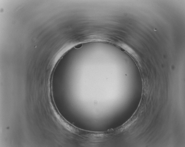 X0000064771431200602171813