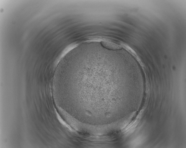 X0000064771433200602171813