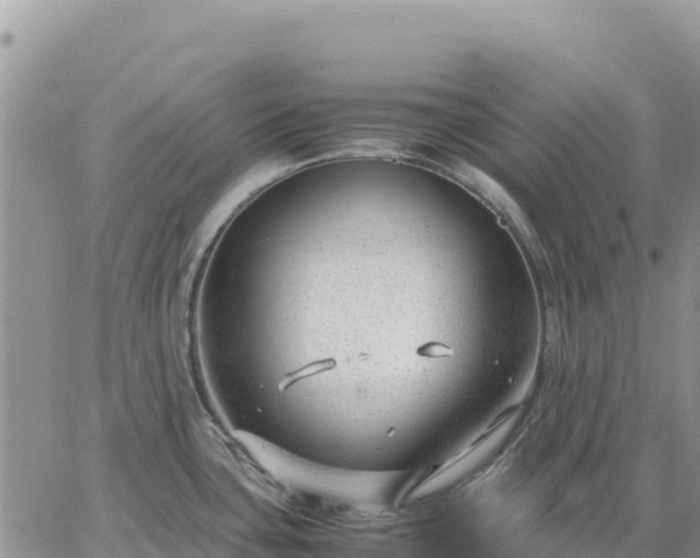 X0000064771435200602171813