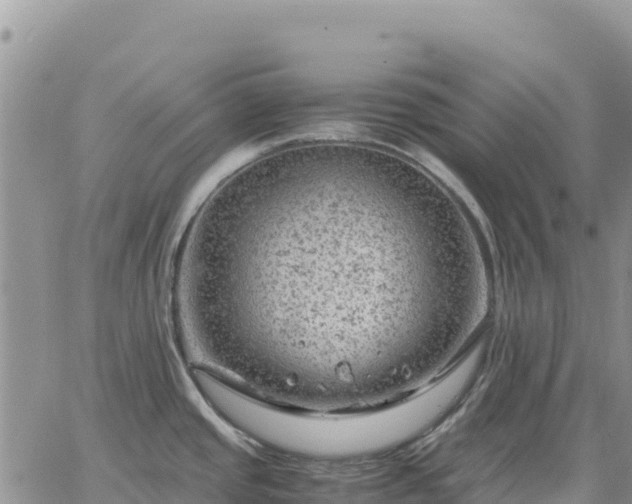 X0000064771437200602171813