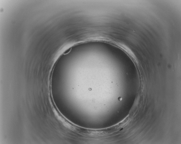 X0000064771439200602171813