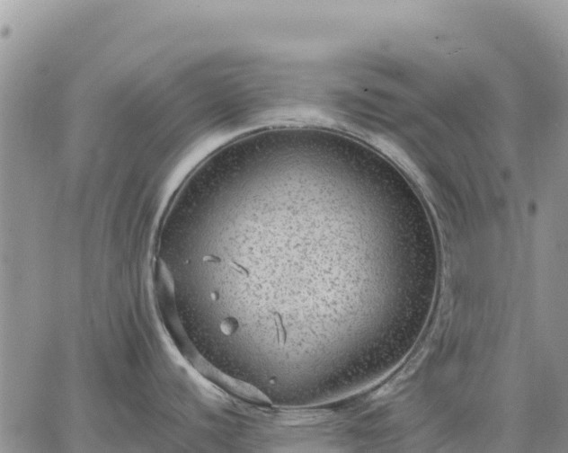 X0000064771440200602171813