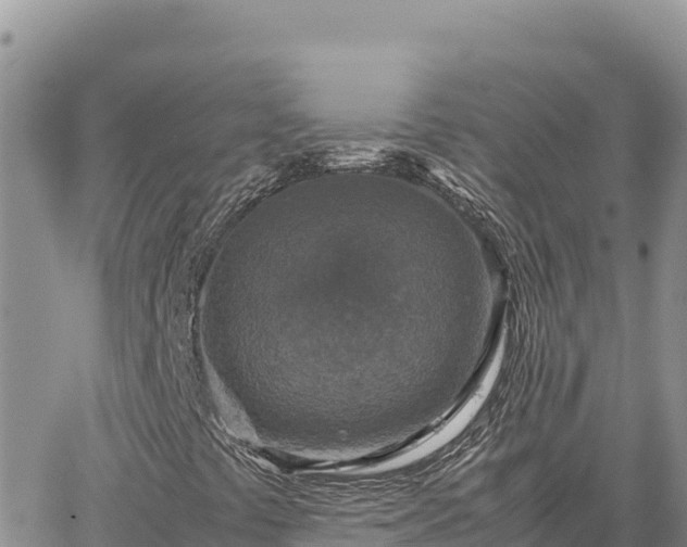 X0000064771441200602171812