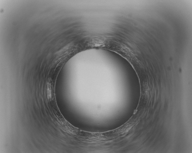 X0000064771442200602171812