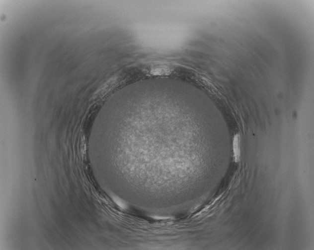 X0000064771443200602171812