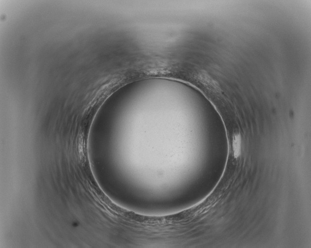 X0000064771444200602171812