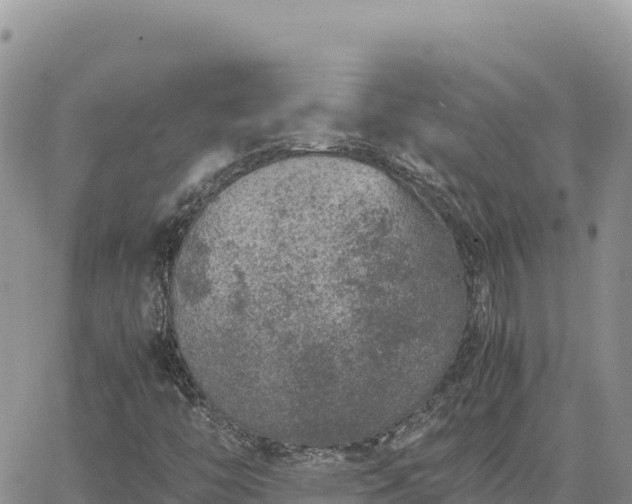 X0000064771446200602171812