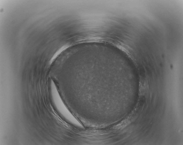 X0000064771450200602171812