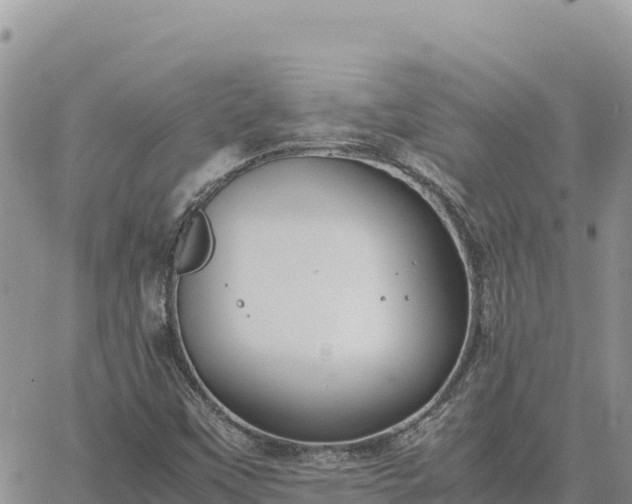 X0000064771451200602171812