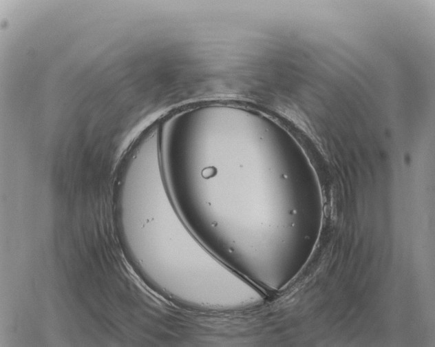 X0000064771452200602171812