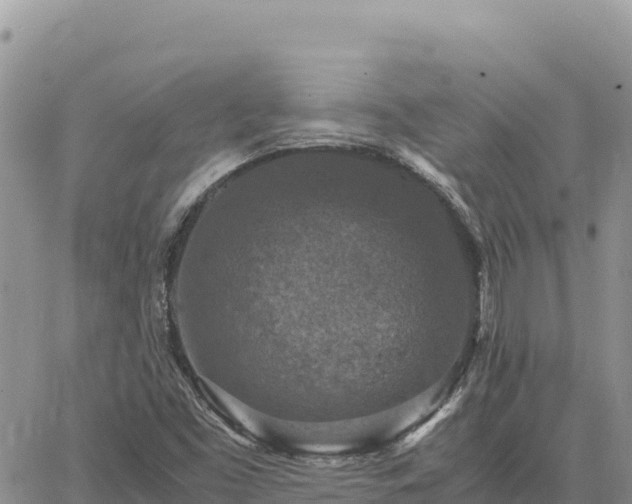 X0000064771453200602171812