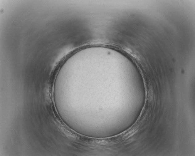 X0000064771454200602171812